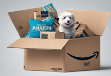 Amazon Prime