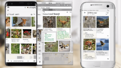 Bing Visual Search